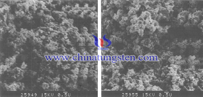 採用紫鎢和藍(lán)鎢制得的WC粉末形貌相圖片