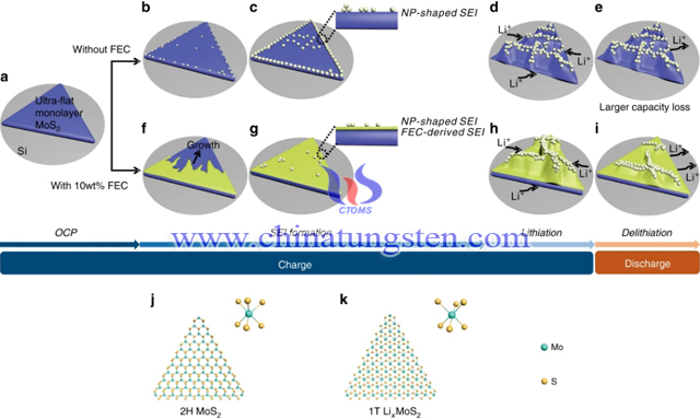 單層二硫化鉬電極結構演變和反應機理示意圖