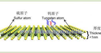 二維層狀納米材料：納米二硫化鎢圖片