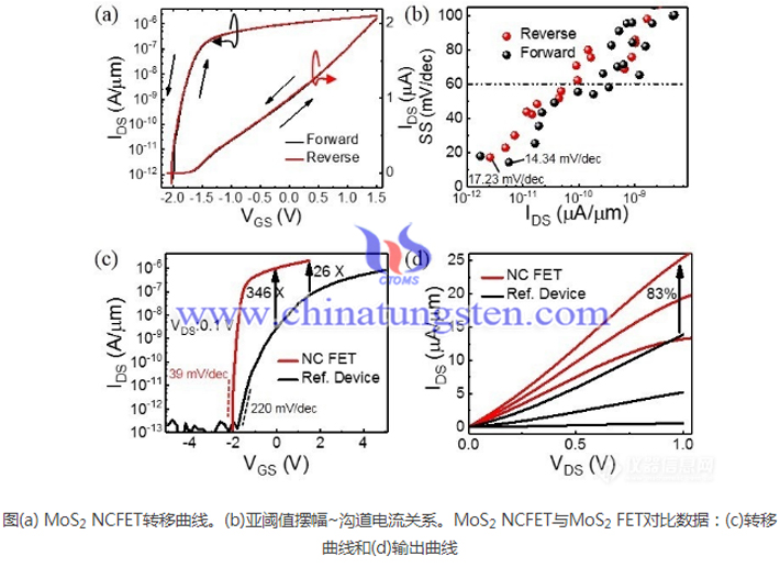 二硫化鉬負(fù)電容電晶體的最新研究成果圖片