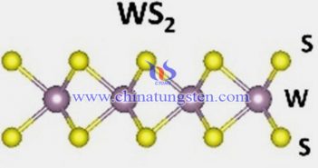 燒結(jié)法製備N摻雜WS2納米片圖片