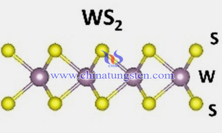 燒結(jié)法製備N摻雜WS2納米片圖片