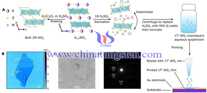 二硫化鎢超導墨水的合成示意圖