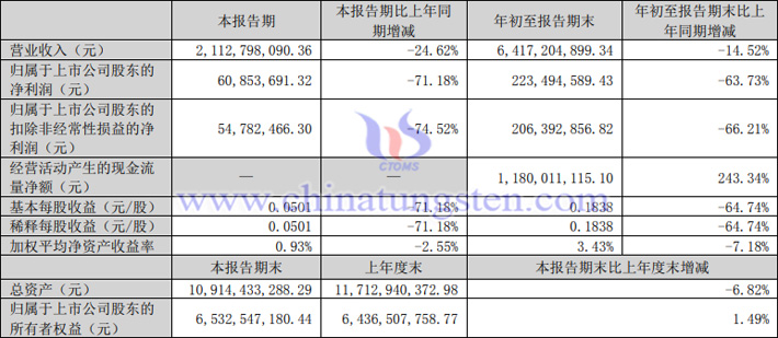 中科三環(huán)2023年第三季度業(yè)績表