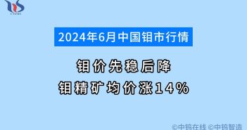 2024年6月鉬市行情如何