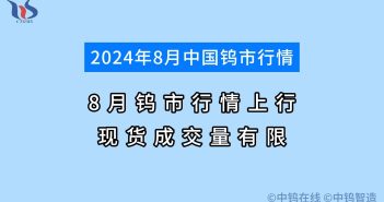 2024年8月鎢市行情如何