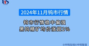 2024年11月鎢市行情如何