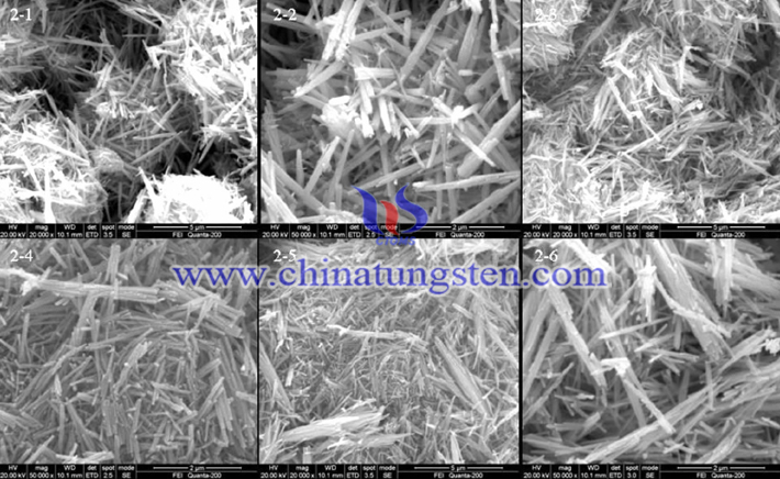 WO3 nanowire SEM image prepared at different concentration of Na2SO4