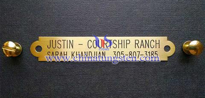 gold plated tungsten alloy pet nameplate picture