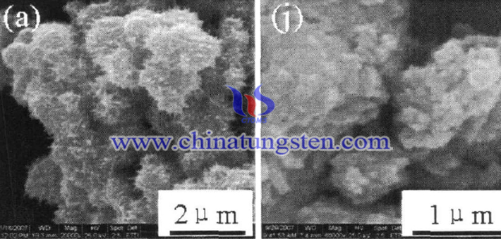 SEM image of WO3 powder prepared at different hydrothermal temperature