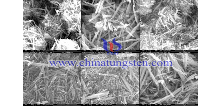 SEM pattern of WO3 prepared at different concentration of Na2SO4