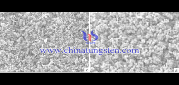 SEM image of tungsten powder and tungsten carbide powder