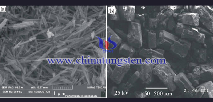 SEM of violet tungsten oxide and cobalt acetate