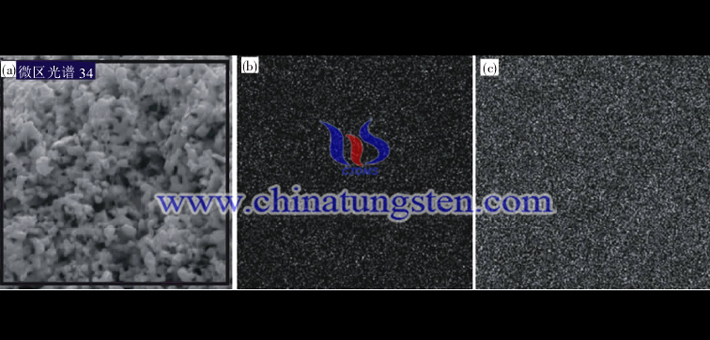 SEM surface distribution image of WC-Co prepared at 950 degrees Celsius