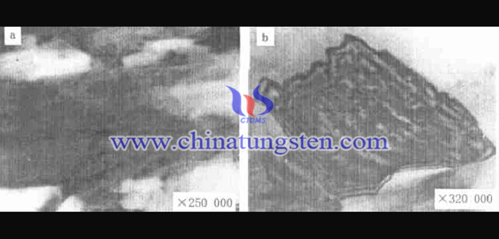 TEM image of side face and cross section of violet tungsten oxide