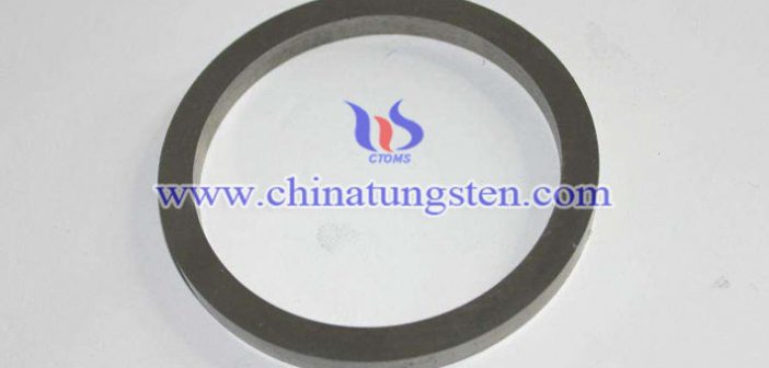 tungsten carbide seals picture