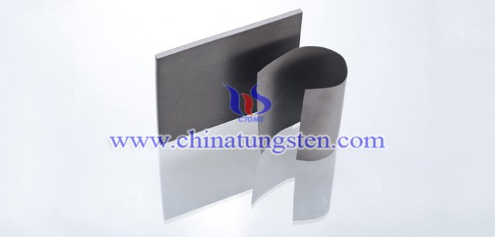 tungsten polymer shield picture