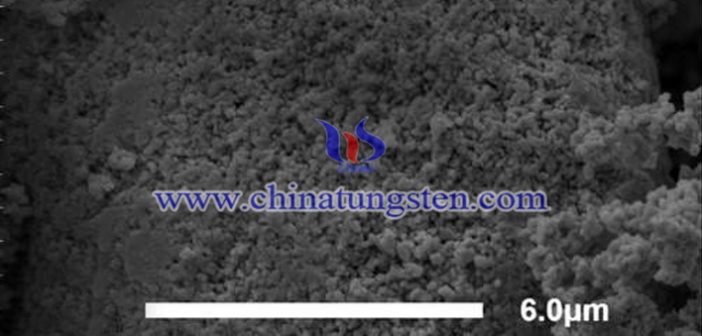 ultrafine tungsten carbide powder prepared by violet tungsten oxide picture