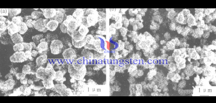 SEM image of W powder produced with activated blue tungsten oxide powder