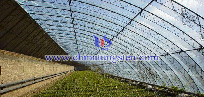 dark blue nano tungsten oxide applied for thermal absorption agricultural plastic film picture