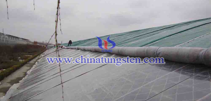 nano blue tungsten oxide applied for heat insulation agricultural film picture