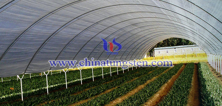 yellow nano tungsten oxide applied for heat insulation agricultural film picture