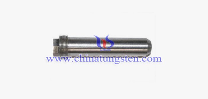 tungsten alloy screw picture