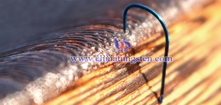 tungsten fish hook picture