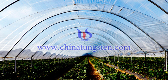 tungsten oxide nano powder applied for heat insulation agricultural thin film picture