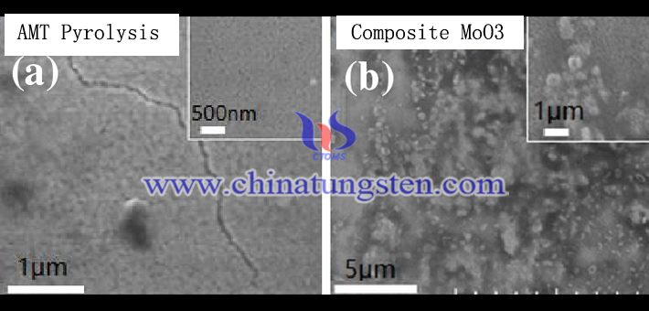 SEM photographs of the tungsten oxide electrochromic film