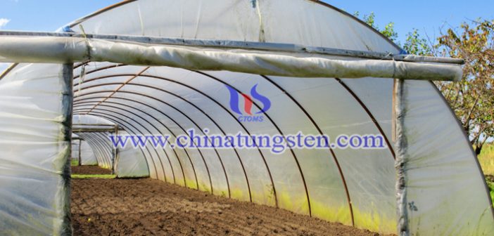 Cs0.33WO3 applied for greenhouse heat insulation coating picture