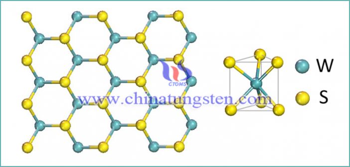 graphene-like two-dimensional material: tungsten disulfide picture