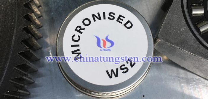 WS2 dry lubricant picture