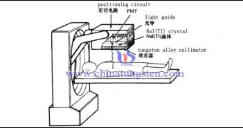 tungsten alloy collimator applied for γ camera picture