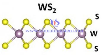 tungsten disulfide molecular formula image