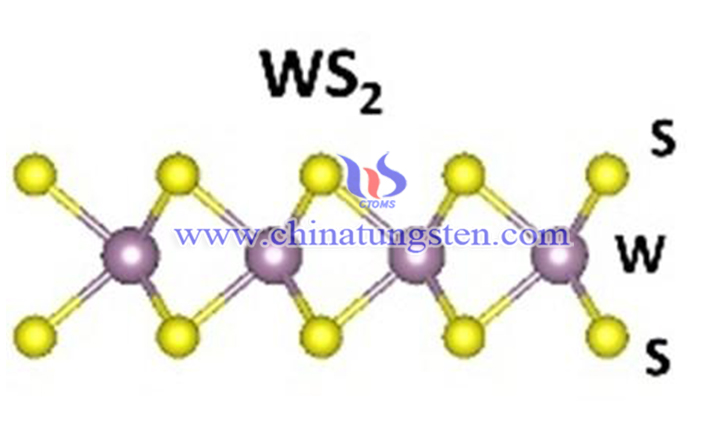 tungsten disulfide molecular formula image