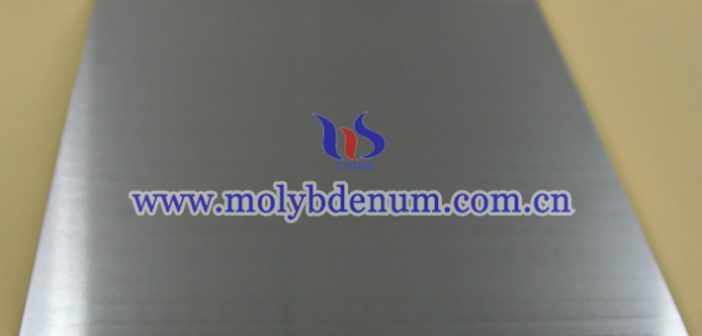 TZM alloy plate picture