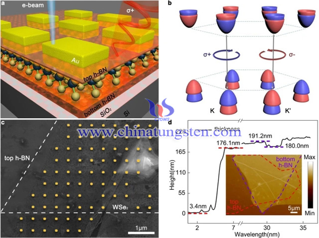 北大發(fā)現(xiàn)新型二硒化鎢谷極化電子束操控方法