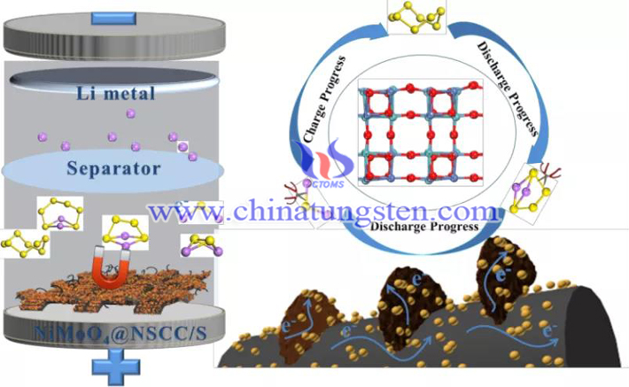 新型鉬酸鹽能緩解鋰硫電池的不足圖片