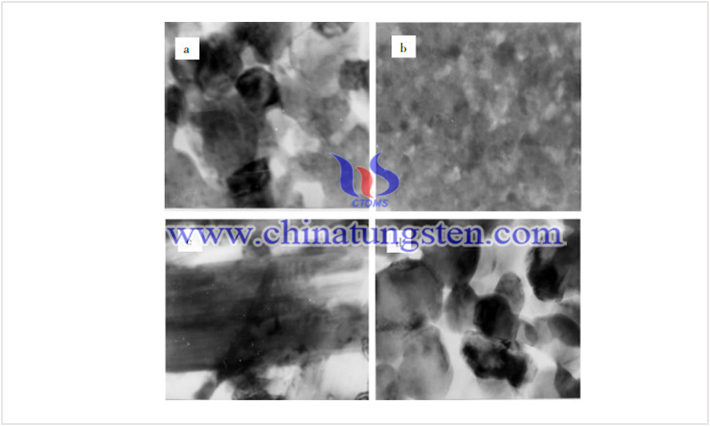 不同氧化鎢顆粒的透射電鏡照片