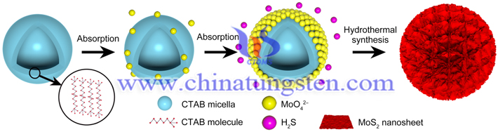 微絨球結(jié)構(gòu)增強MoS2光催化性能圖片