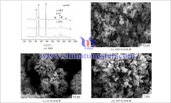 不同原料制備的碳化鎢粉的XRD和SEM圖