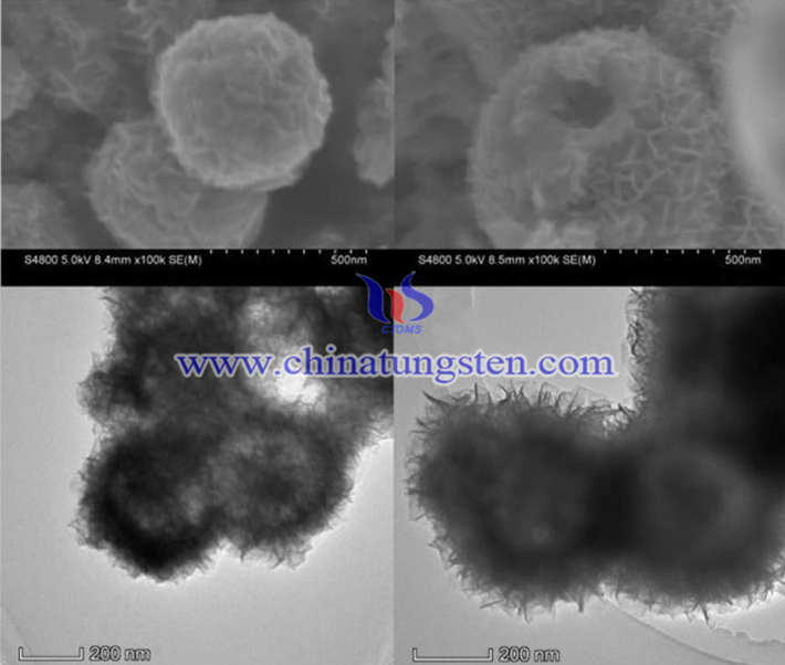 專利文檔序號(hào)為28486888 WS2空心球電鏡圖