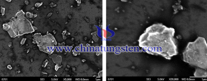 二硫化鎢粉末超聲處理后的SEM圖（圖源：燕山大學(xué)工學(xué)）