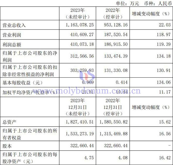 金鉬股份2023年業(yè)績(jī)報(bào)告圖片