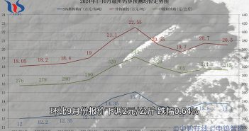 贛州鎢協(xié)2024年10月份國(guó)內(nèi)鎢市預(yù)測(cè)均價(jià)